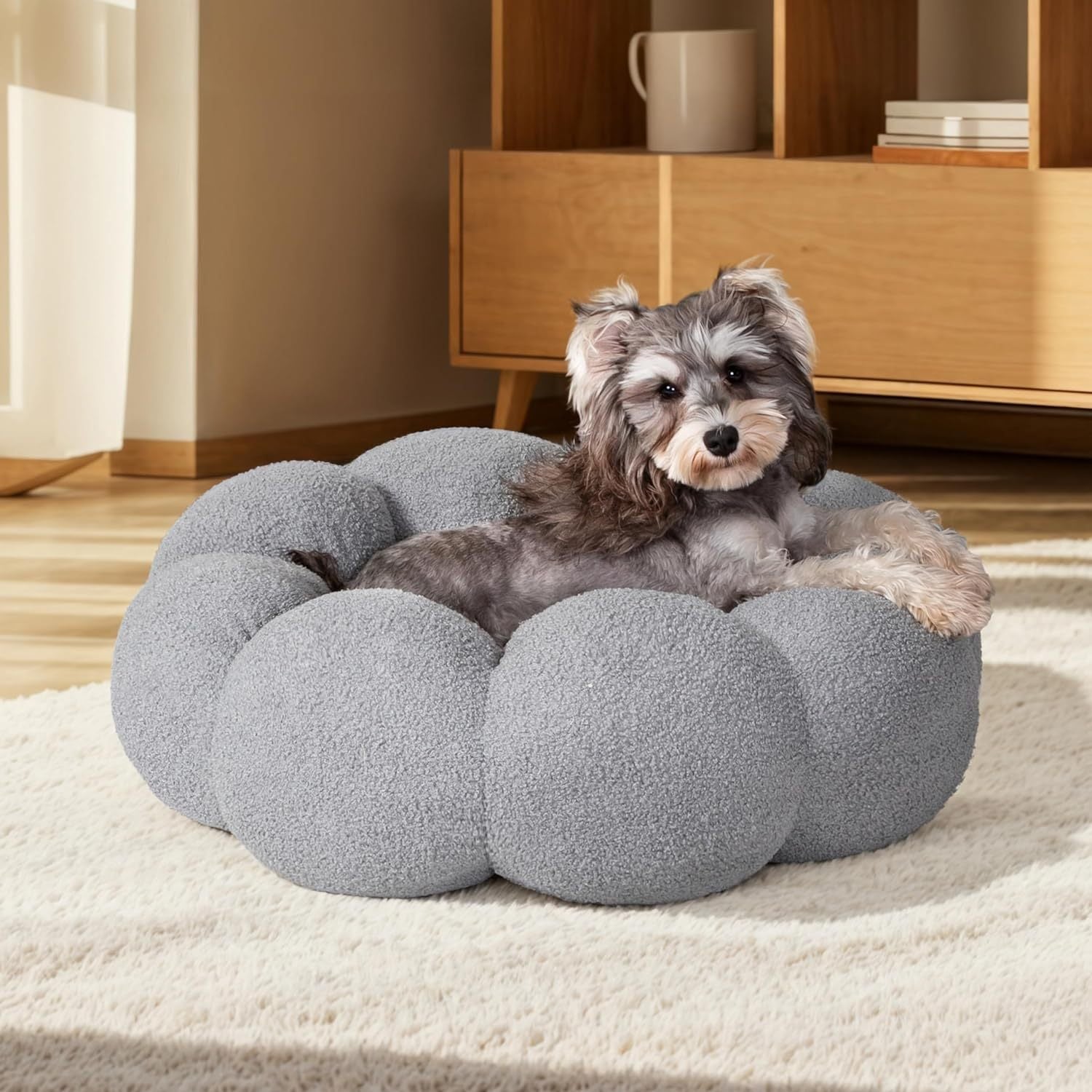 Pet
